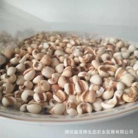 廠家現(xiàn)貨低溫烘焙熟小薏米磨粉 熟小薏米 廠家現(xiàn)貨熟薏米