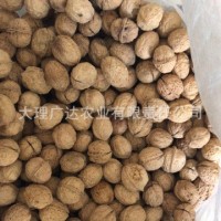 云南核桃500g 辦公室休閑零食堅果散裝核桃批發(fā) 云南核桃