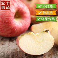 棲霞蘋(píng)果10斤包郵 新鮮果園直發(fā)新紅富士非陜西蘋(píng)果 不打蠟蘋(píng)果