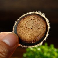 產(chǎn)地鹿茸碎片鹿鹿茸切片泡酒煮粥鹿場直供鹿茸現(xiàn)貨批發(fā)