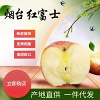 煙臺(tái)紅富士一件代發(fā) 產(chǎn)地現(xiàn)貨煙臺(tái)紅富士脆甜多汁蘋果