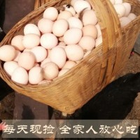 農(nóng)家姑娘土雞蛋 農(nóng)場(chǎng)散養(yǎng)土雞蛋 新鮮農(nóng)村自養(yǎng) 天然草雞蛋