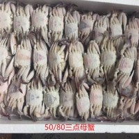 批發(fā)60g-80g冷凍野生三點(diǎn)蟹母蟹,三角母,蟹肉飽滿