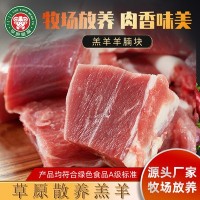 內(nèi)蒙古草原蒙福羔羊羊腩塊冷凍15kg火鍋燒烤清燉紅燒食材工廠批發(fā)