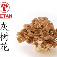 DETAN德添舞茸 新鮮灰樹花 購買請電話聯(lián)系，否則不發(fā)貨