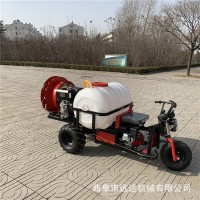 折疊桿玉米地滅蟲(chóng)打藥車(chē) 柴油液壓三輪打藥機(jī) 駕乘式柴油噴霧機(jī)