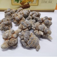 文山三七頭免費打粉 三七粉基地水洗不打蠟三七30頭40頭批發(fā)