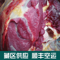 供應甘肅天祝白牦牛肉 新鮮牦牛肉 西藏牦牛肉 冷凍包裝生肉批發(fā)