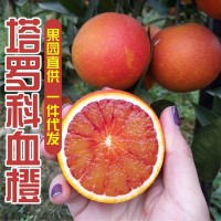 四川資中塔羅科血橙10斤帶箱新鮮水果當(dāng)季手剝甜橙非紅心肉橙子柑