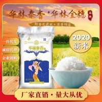 江西大米10斤華林金穗華林泰香米5Kg當(dāng)季新米象牙米清香撲鼻廠批