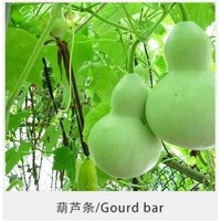 常年供應葫蘆條干瓢 多種用途葫蘆條 葫蘆條多規(guī)格 【圖】