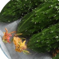 干花黃瓜 黃瓜 新鮮蔬菜 放心菜 批發(fā) 供應(yīng)商發(fā)貨