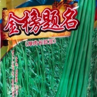 批發(fā)蔬菜種子 華贛翠綠長豆角 基地 菜園 菜場種子 400克廠家供應