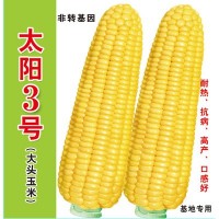 批發(fā)菜園蔬菜種子 泰系超甜玉米種子 太陽(yáng)3號(hào)400克裝蔬菜基地菜籽