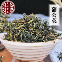 長(zhǎng)白山新貨水洗蒲公英茶散裝婆婆丁茶批發(fā)蒲公英茶