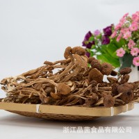 200g茶樹(shù)菇批發(fā) 農(nóng)家自種不開(kāi)傘茶薪菇食用菌菇干貨無(wú)硫特產(chǎn)樹(shù)菇