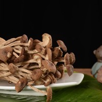 基地直供春季新上開(kāi)傘茶樹(shù)菇干貨火鍋煲湯涼拌好食材泡發(fā)加點(diǎn)糖