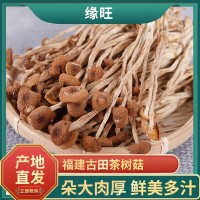 加工定制茶樹菇