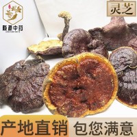 長期供應(yīng) 長白山靈芝片產(chǎn)地一手貨源 靈芝批發(fā) 靈芝個 中藥材