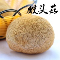 廠家直供猴頭菇提取物猴頭菇多糖提取物30% 質(zhì)量達(dá)標(biāo)品質(zhì)高提取物