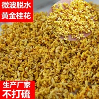 桂花 桂花干 桂林桂花干 21年5A桂林微波脫水金桂花干花茶