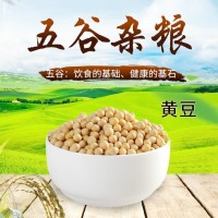 農(nóng)家自產(chǎn)大豆黃豆現(xiàn)磨豆?jié){五谷雜糧粗糧豆腐原料豆類(lèi)散裝