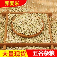 大量批發(fā)內(nèi)蒙古新蕎麥米 蕎麥仁 五谷雜糧甜蕎麥 陜北紅花蕎麥