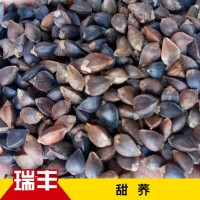 批發(fā)供應(yīng)甜蕎500g黑蕎麥帶殼甜蕎麥釀酒鳥糧五谷雜糧原料燒酒蕎麥