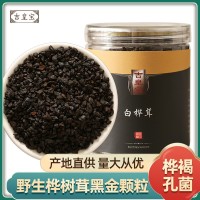 樺樹茸250g黑金顆粒白樺茸大塊長白山樺褐孔菌白樺茸代發(fā)廠家直銷