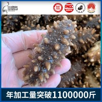 源頭工廠即食海參 大連即食海參 500g 生鮮即食海參批發(fā) 4-30頭