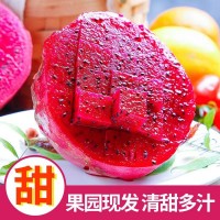 水果批發(fā)金都一號當(dāng)季紅心火龍果新鮮農(nóng)產(chǎn)品整箱5斤一件代發(fā)