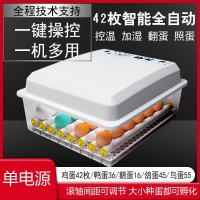 廠家直銷全自動(dòng)雙電源孵化機(jī)孵化器孵化箱 雞蛋孵化設(shè)備