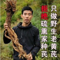 甘肅特產(chǎn)野生黃芪大片岷縣無硫野生老黃芪整支條批發(fā)供應(yīng)一件代發(fā)