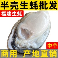 福建冷凍開半殼生蠔 產(chǎn)地直銷鮮活牡蠣海鮮水產(chǎn) 燒烤自助生蠔批發(fā)