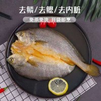 海肴膳醇香黃魚鲞黃瓜魚阿信水產(chǎn)批發(fā) 寧德大黃魚新鮮冷凍黃花魚