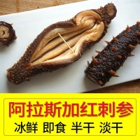 阿拉斯加紅刺參進(jìn)口野生淡干拉鋼鹽半干海參冰鮮熟凍即食美國紅參