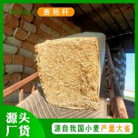 源頭廠(chǎng)家麥秸稈打碎草塊青貯飼料 家禽家畜牧草養(yǎng)殖粗飼料