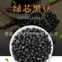 廠家直供黑皮綠仁烘炒黑豆-量大質(zhì)優(yōu)，出口品質(zhì)