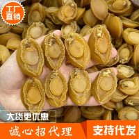 大連鮑魚干貨一斤裝送禮佳品 支持禮盒裝 鮮活鮑魚加工佛跳墻食材