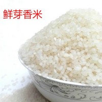 廠家直批南粳鮮芽大米9108熬粥米香粘軟糯50斤興化大米 2袋起批