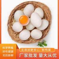 農(nóng)村散養(yǎng)鴨蛋 新鮮鴨蛋 鴨蛋 廠家鴨蛋30枚2000g整箱代發(fā)