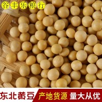 大量批發(fā)當(dāng)季新黃豆 豆?jié){食品原料五谷雜糧東北大豆袋裝80斤