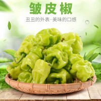 云南特產(chǎn)農(nóng)家自種皮薄皺皮辣虎皮辣椒青辣椒清脆新鮮蔬菜現(xiàn)摘現(xiàn)發(fā)（價格面議）