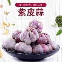 當(dāng)季新鮮干大蒜紫皮蒜紅皮干蒜頭紫蒜多瓣蒜蒜種子產(chǎn)地批發(fā)（價(jià)格面議）