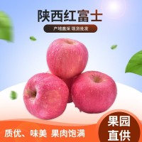 陜西寶雞紅富士蘋(píng)果包郵帶箱5斤/10斤新鮮現(xiàn)摘水果脆甜應(yīng)季批發(fā)