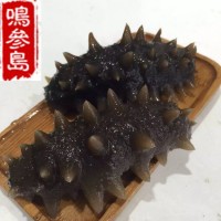 大連海參長?？h深海即食海參遼參500g一件代發(fā)口感好工廠加工批發(fā)