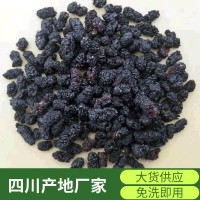 22年新貨打粉代用茶桑葚干產(chǎn)地黑桑椹果干桑葚子泡酒散裝批發(fā)