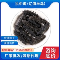 執(zhí)中大連純淡干海參A干貨30—100T源頭工廠(chǎng)批發(fā)遼刺參禮盒