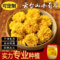 菊花冰菊馳菊花茶懷菊花韻級河南游念焦作特云臺山露批發(fā)靈青 2盒起批