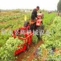 多功能根莖作物采收機 鏈條式瘋狂花生收獲機 不落果收獲設(shè)備